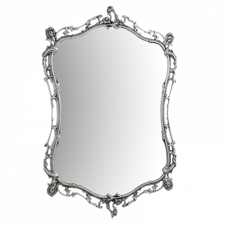Зеркало настенное "Жардим" 86х54см (бронза, античное серебро) Португалия